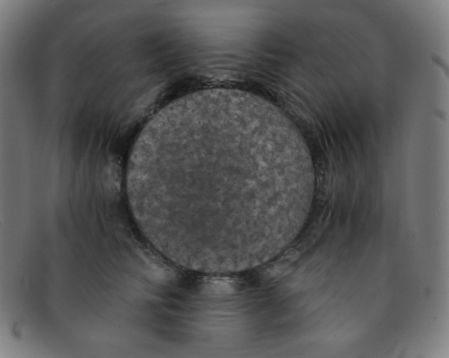 X0000091340710200708311456