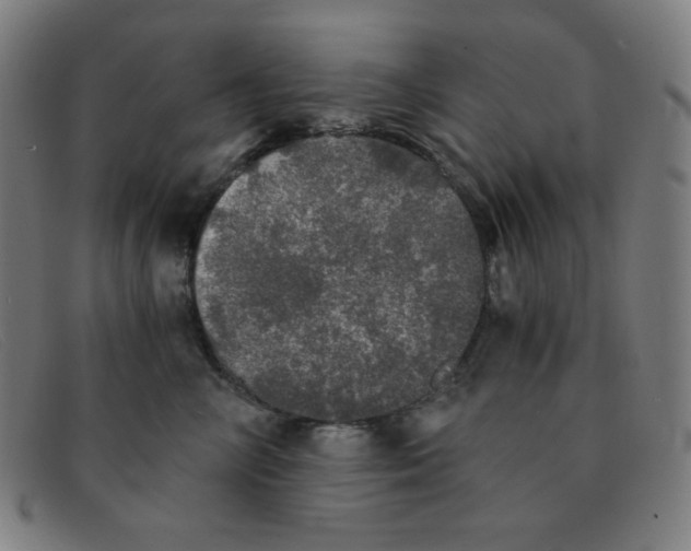 X0000091340714200708311456