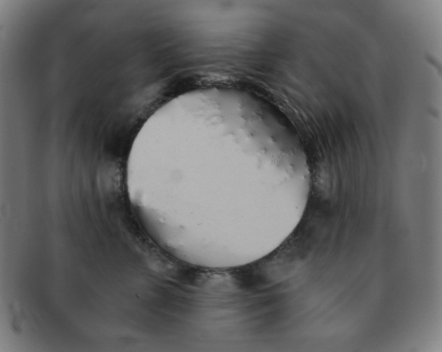 X0000091340715200708311456