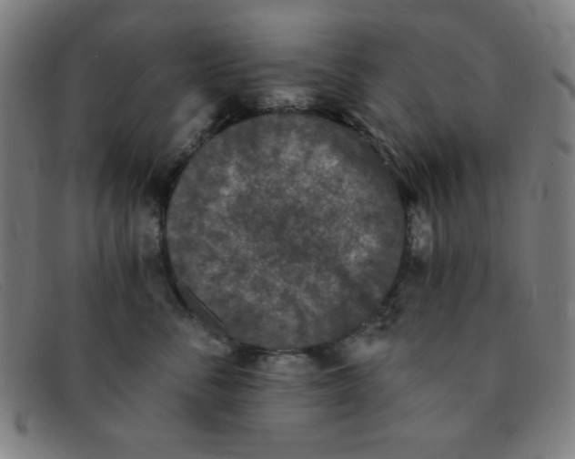 X0000091340716200708311456