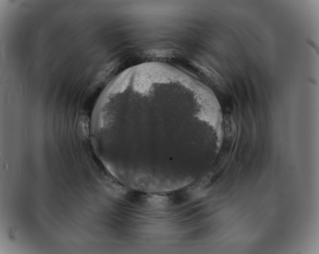 X0000091340718200708311456