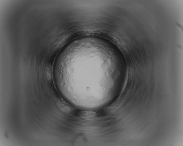 X0000091340719200708311456