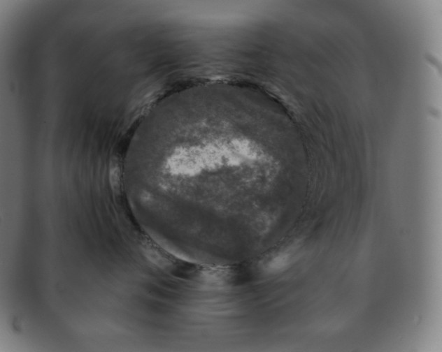 X0000091340720200708311456