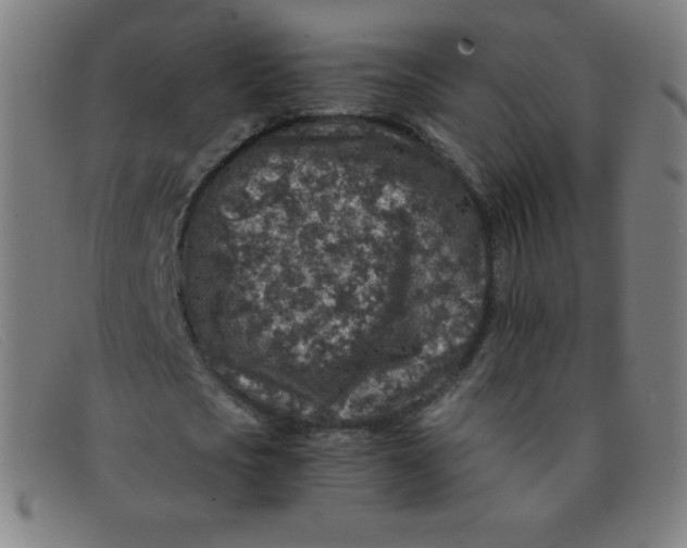 X0000091340721200708311455