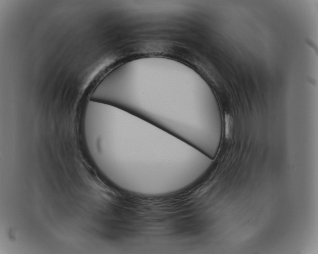 X0000091340723200708311455