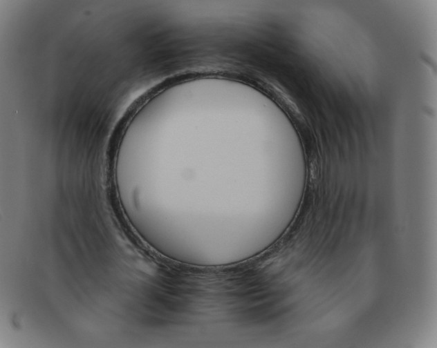 X0000091340724200708311455