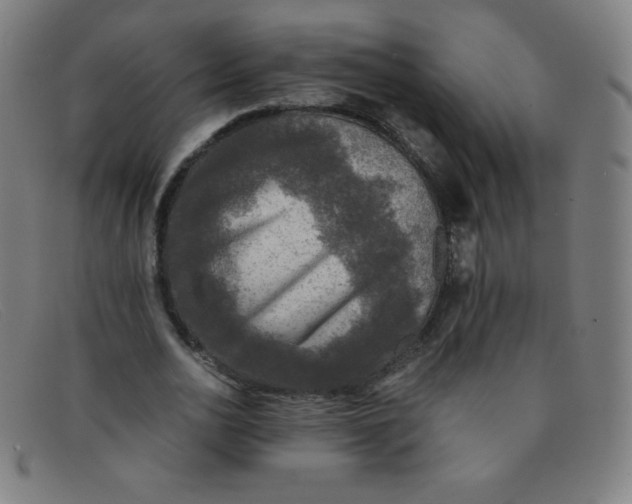 X0000091340726200708311455