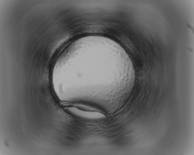 X0000091340727200708311455