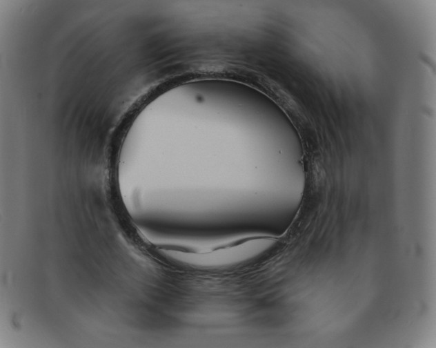 X0000091340728200708311455