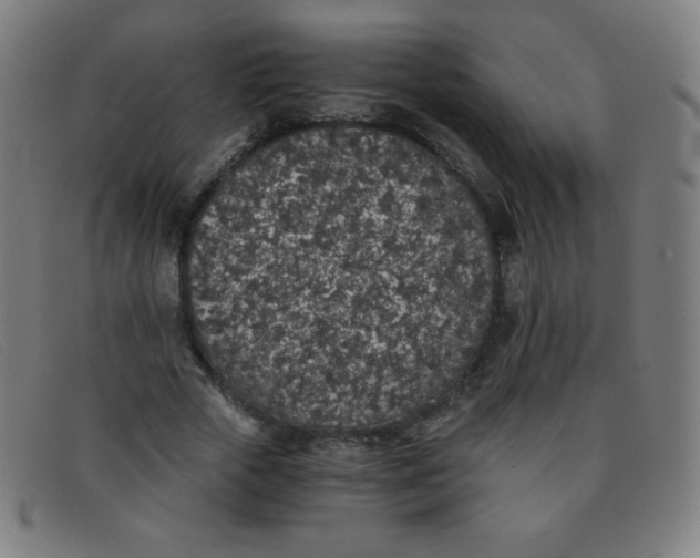 X0000091340729200708311455