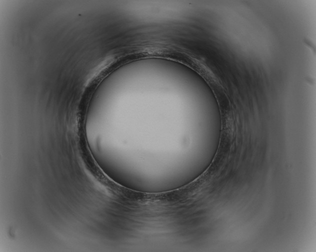 X0000091340730200708311455