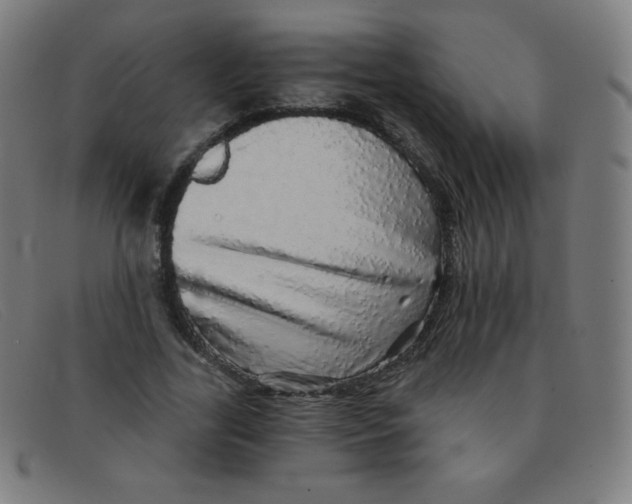 X0000091340731200708311455