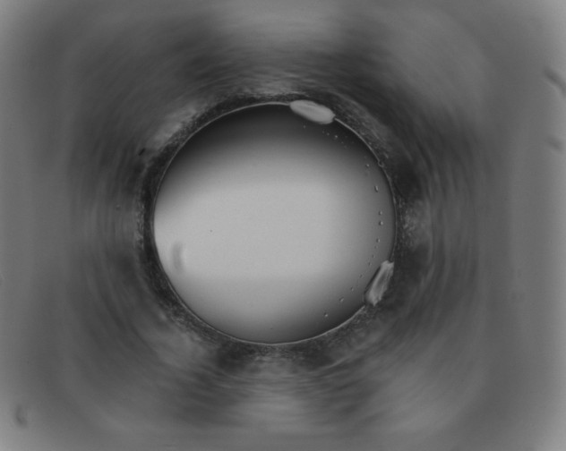 X0000091340732200708311455