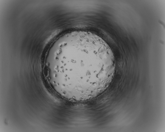 X0000091340734200708311455