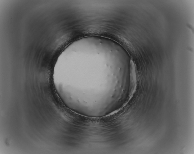 X0000091340735200708311455