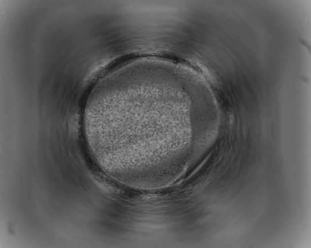 X0000091340736200708311455