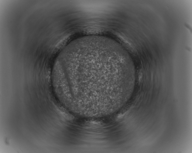 X0000091340737200708311455