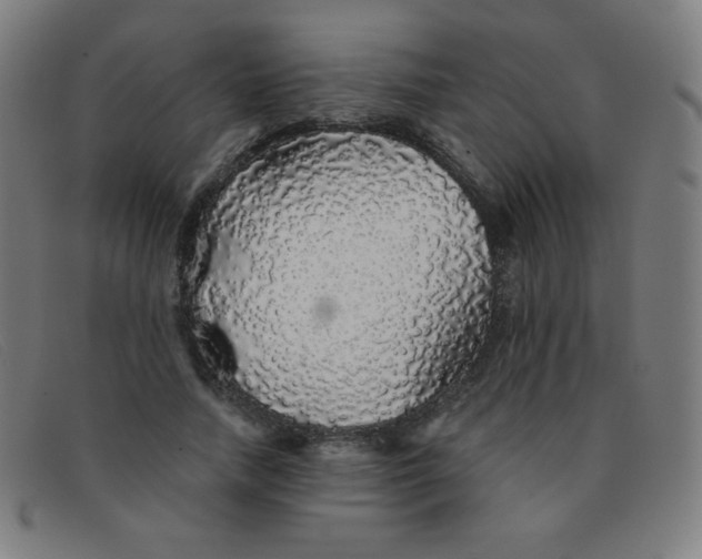 X0000091340738200708311455