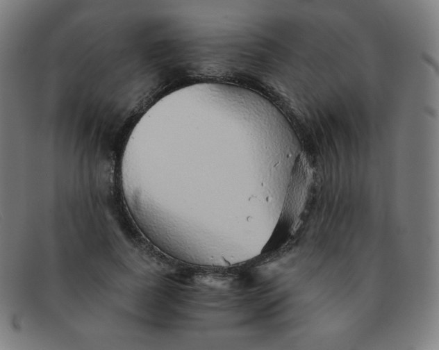 X0000091340739200708311455