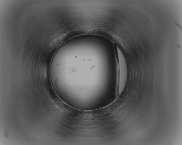 X0000091340740200708311455