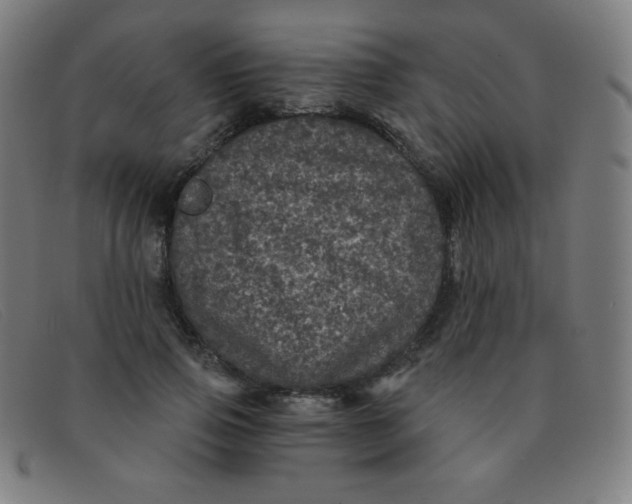 X0000091340741200708311455