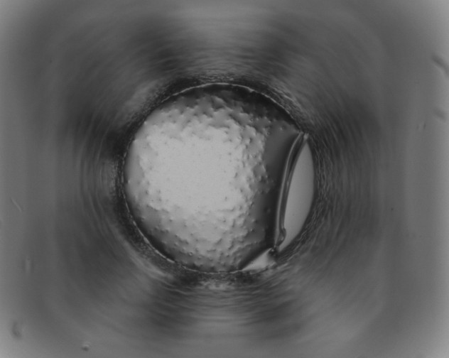 X0000091340742200708311455