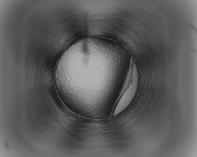 X0000091340743200708311455