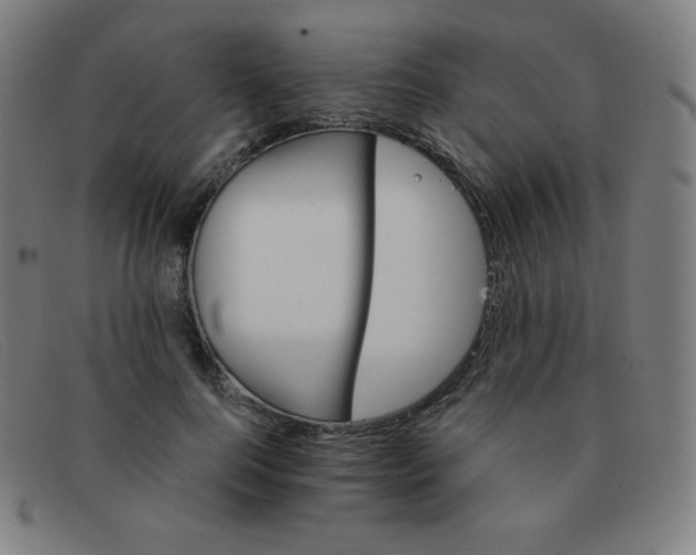 X0000091340744200708311455