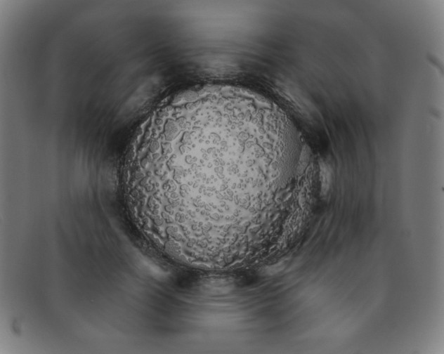 X0000091340746200708311455