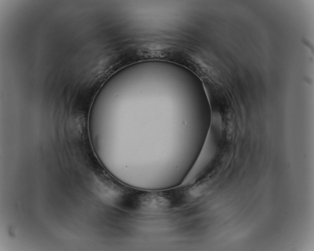 X0000091340747200708311455