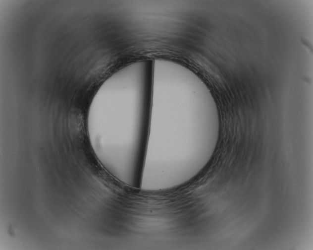 X0000091340748200708311455