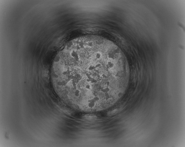 X0000091340749200708311455