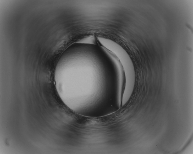 X0000091340750200708311455