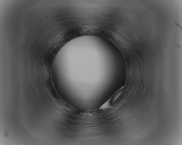 X0000091340751200708311455