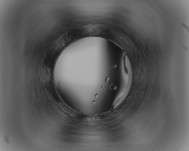 X0000091340752200708311455