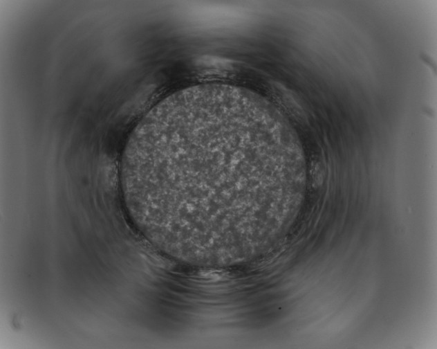 X0000091340753200708311455