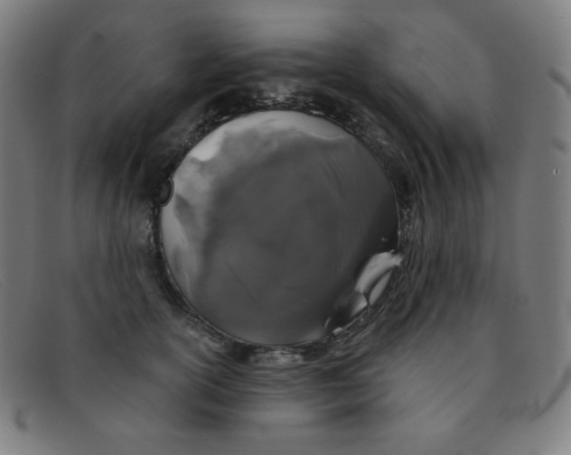 X0000091340754200708311455