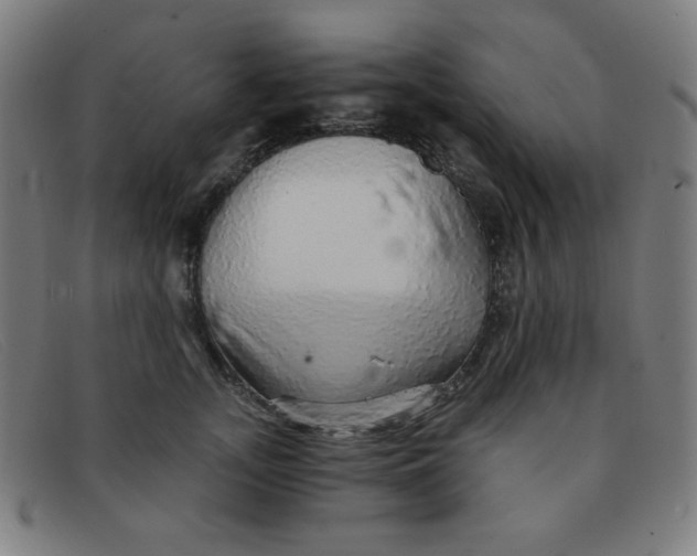 X0000091340755200708311455