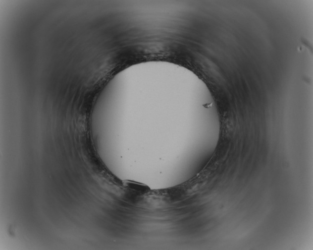 X0000091340756200708311455