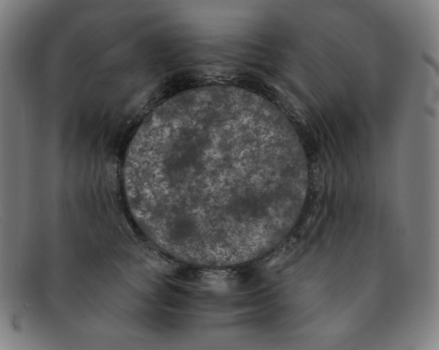 X0000091340757200708311455