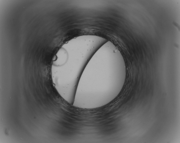 X0000091340759200708311455