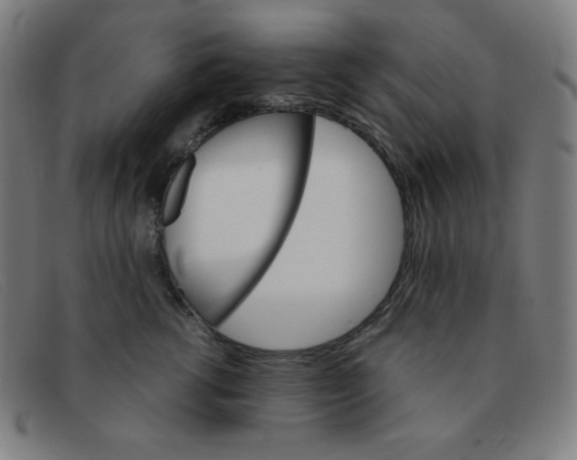 X0000091340762200708311456