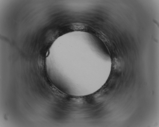 X0000091340763200708311456