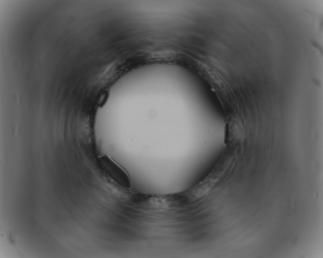 X0000091340764200708311456