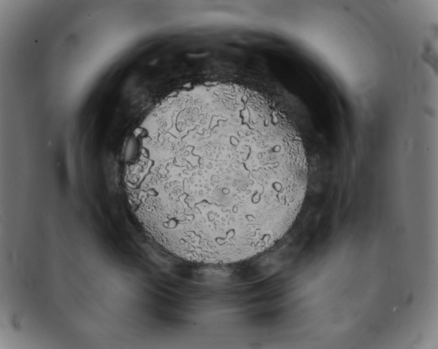 X0000091340765200708311456