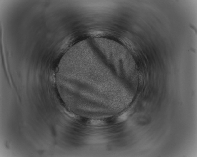 X0000091340766200708311456