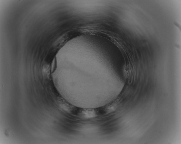 X0000091340767200708311456