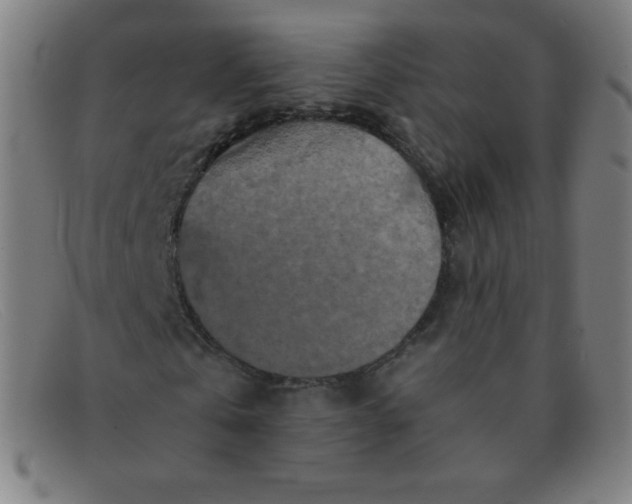 X0000091340769200708311455