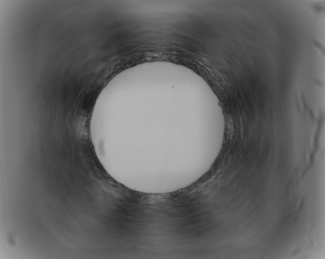 X0000091340770200708311455