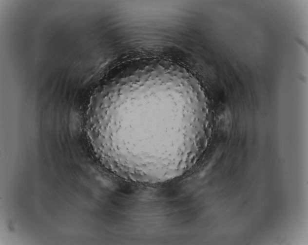 X0000091340772200708311455